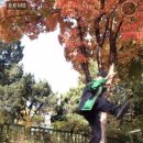 경희김주원한의원 이미지