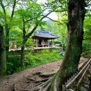 한국의정원 이미지