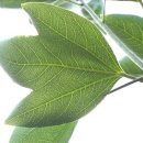 제주파나텍(주) | 제주에서 건강식품 사업을 시작하게 된 이야기 1탄