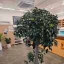 로영 | [대성리카페 추천] 로영 카페 - 남양주 베이커리와 핸드드립 커피, 애견동반 가능한 곳