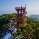 소백산자연휴양림 뉴시스