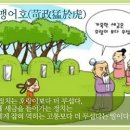 가정맹어호(苛政猛於虎) 이미지