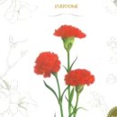 힐링 꽃과 식물 세밀화 이미지