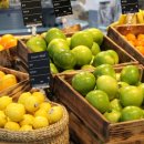 스위트장 이미지