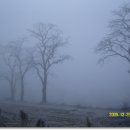 소여2리 이미지