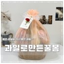 꿀봄 이미지