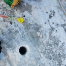 화천유치원 | 2026 화천 산천어축제, 실내얼음조각광장 오픈런 예약 방문 후기