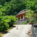 소금과빛 - 15421 | 소금과빛