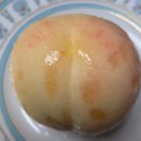 예사향농원 네이버블로그