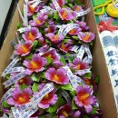 효도로 노인전문요양원 이미지