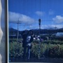 양구수산횟집 | 속초 양양 1박2일 가족여행기 : 시부모님과 함께한 첫 여행