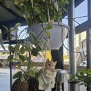 여름이야기 펜션 이미지