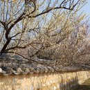 회연서원 관광안내소 이미지