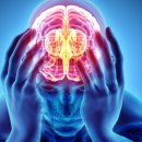 서울베스트의료의원 이미지