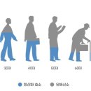 플러스푸드 이미지