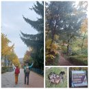 11/8(토)슬기로운 가을산행 4 (대모&amp;구롱산&amp;갤러리)-슈가대장 이미지