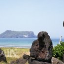 올레길국수 이미지