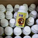 천풍농장 이미지