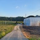 또박이농장 이미지