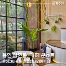 쿤스트베이커리카페 | 광교 숲속마을 분위기 좋은 카페 쿤스트