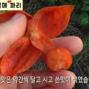 지안농장 이미지