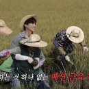 근육형제 이미지