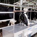 승연목장 이미지