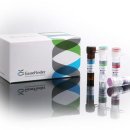 (주)오상헬스케어 이미지