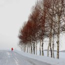 유성식당 이미지