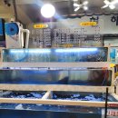 현해탄수산 | 안면도수산시장 현해탄수산 방문 사장님의 자부심이 느껴진 곳