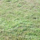 옥천 농장 이미지