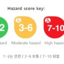 진피앤피