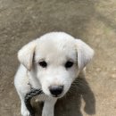 영권농장 이미지