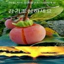 빈스타(Binstar)