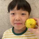 힐튼호텔 경주 이미지