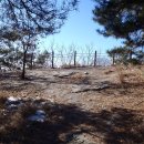 지수면사무소 이미지