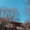 대원사정류장 | 산청 대원사 템플스테이 후기_뚜벅이여행