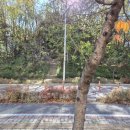 느리울중네거리 이미지