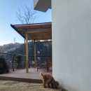 반디빌리지 이미지