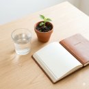 건강한 100세 시대, 누구나 행복한 웰에이징 관리법 | 웰에이징의 모든 것, 우아하게 나이 드는 비결 공개합니다