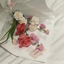 에이지 플라워 스튜디오 - 강릉 최고의 꽃집에서 생일 꽃다발 받은 후기