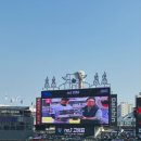 메가엔스테이션 | 수원 케이티위즈파크 1루 응원지정석 306구역 시야 스테이션 크림새우 만석공원 새빛축제 불꽃놀이 후기