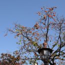 둥지해오름 이미지