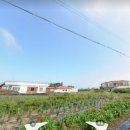 판포리 사무소 이미지