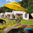 디파트글램핑장 이미지