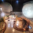 서대문자연사박물관 이미지