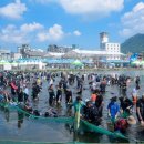 제18회_정남진_장흥_물축제 이미지