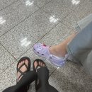 앙큼꼬마김밥