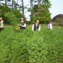 개동농장 이미지