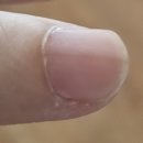 화이트비뇨기과의원 이미지